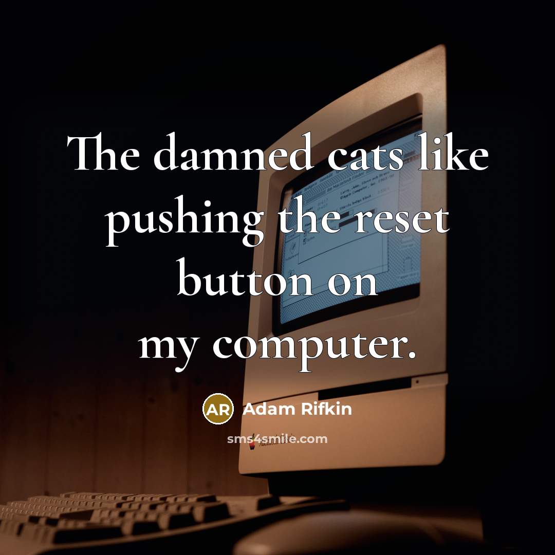 “The damned cats like pushing the reset button on my…” quote by Adam Rifkin