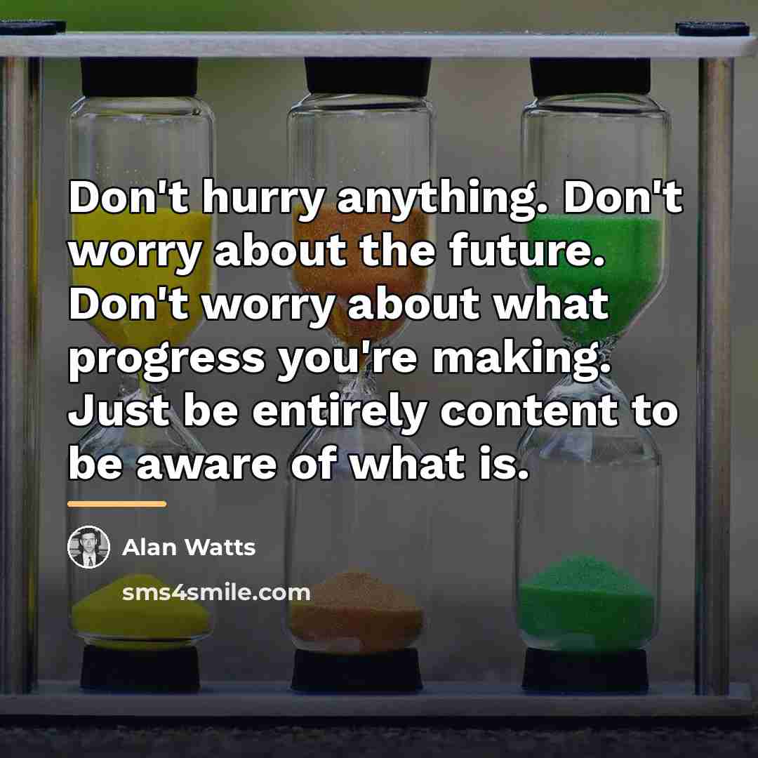 “Don't hurry anything. Don't worry about the future. Don't worry…” quote by Alan Watts