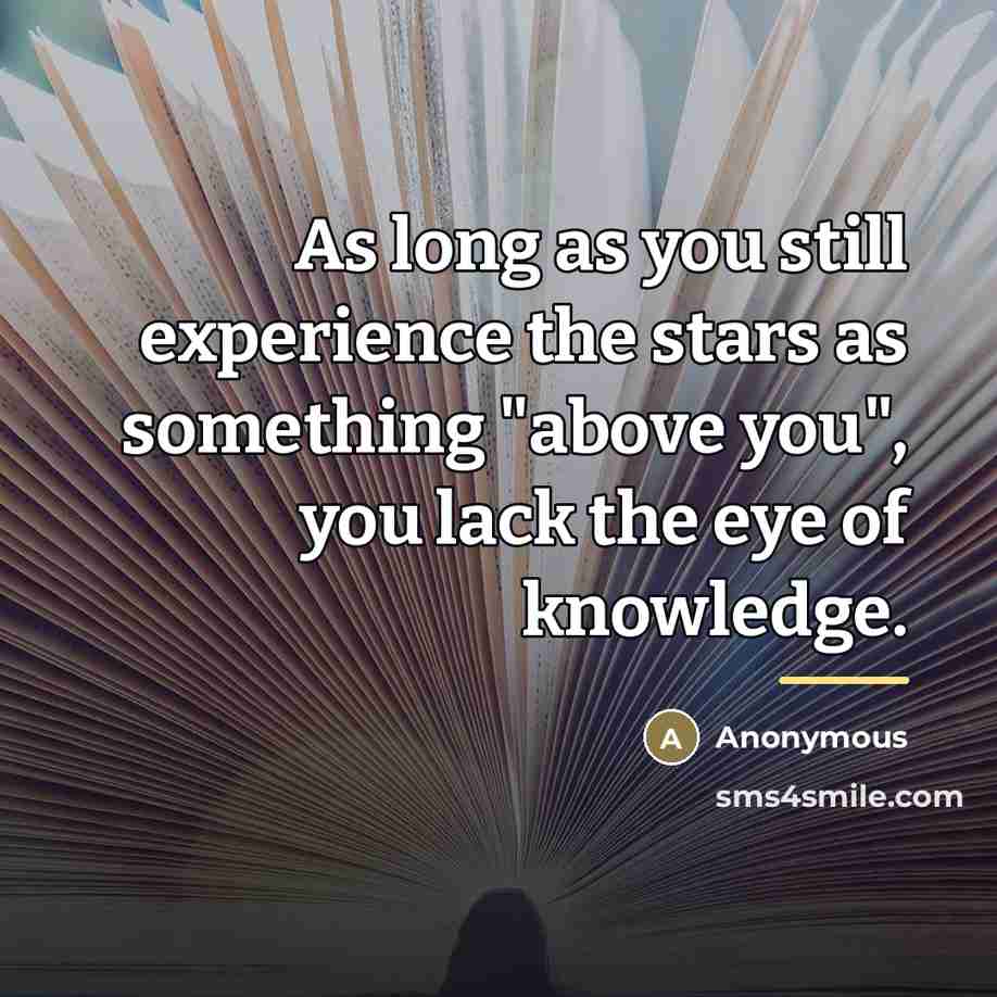 “As long as you still experience the stars as something…” quote by Anonymous