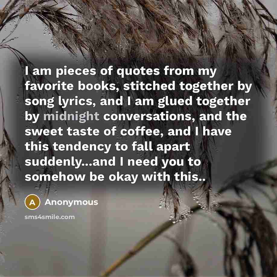 “I am pieces of quotes from my favorite books, stitched…” quote by Anonymous