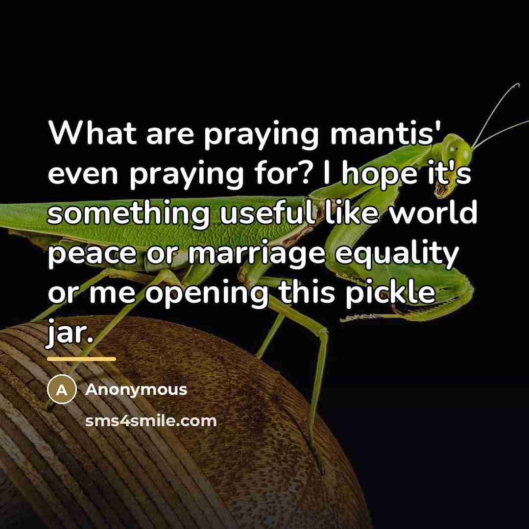 “What are praying mantis' even praying for? I hope it's…” quote by Anonymous