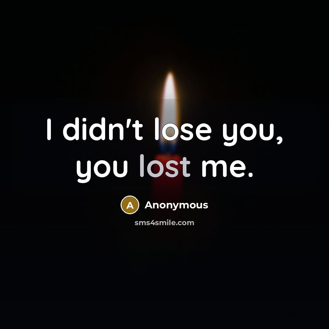 “I didn't lose you, you lost me.…” quote by Anonymous