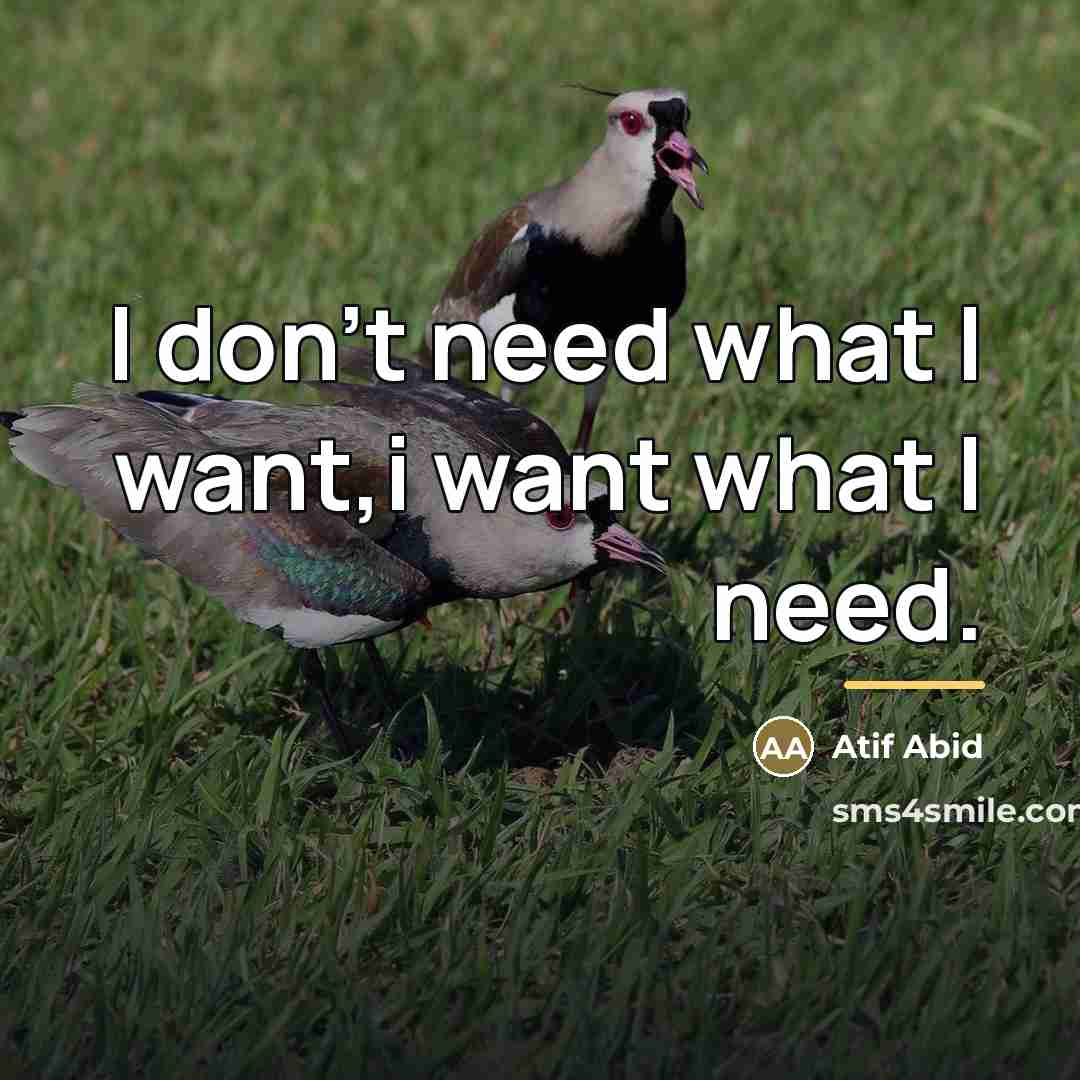 “I don't need what I want,i want what I need.…” quote by Atif Abid