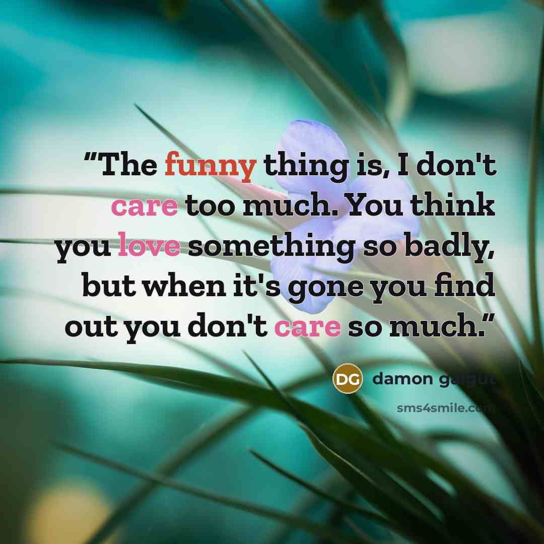 “The funny thing is, I don't care too much. You think you love something so badly, but when it's gone you find out you don't care so much.” quote by Damon Galgut