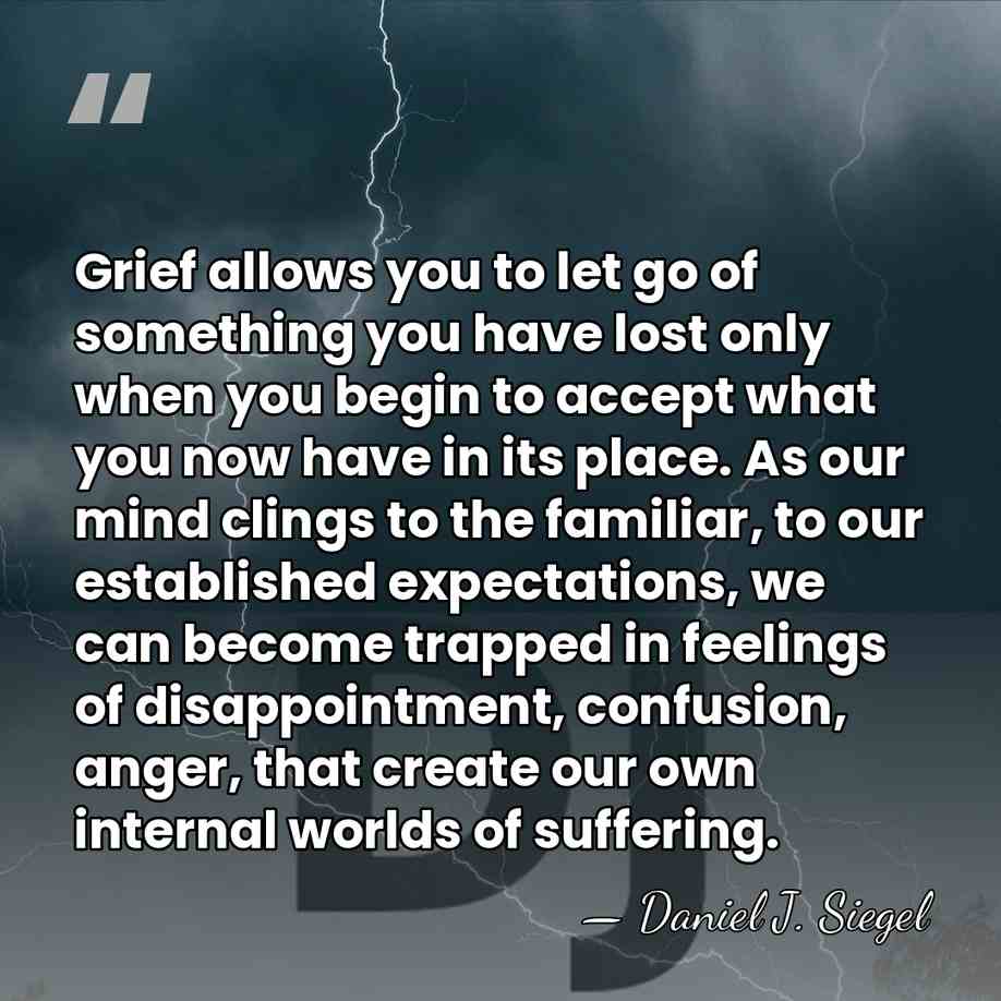 Grief allows you to let go of something you have lost only&hellip; - Daniel J. Siegel