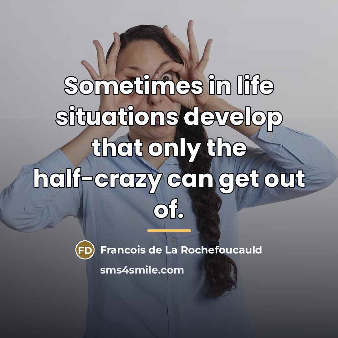 “Sometimes in life situations develop that only the half-crazy can…” quote by Francois de La Rochefoucauld