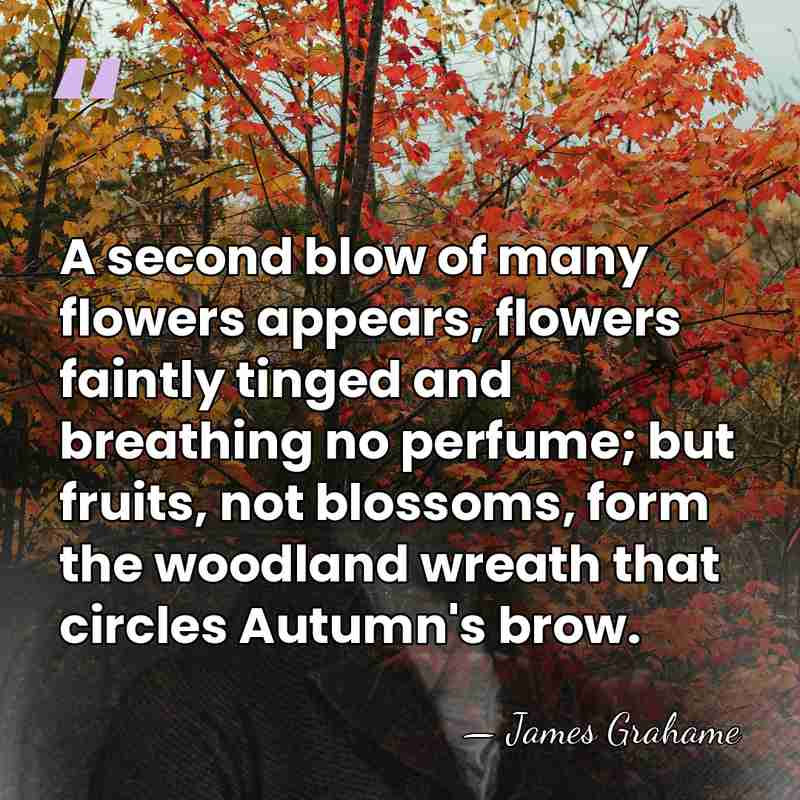 A second blow of many flowers appears, flowers faintly tinged and breathing&hellip; - James Grahame