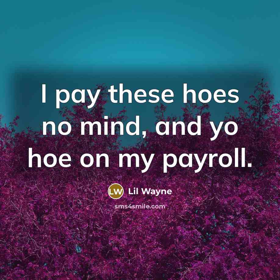 “I pay these hoes no mind, and yo hoe on…” quote by Lil Wayne