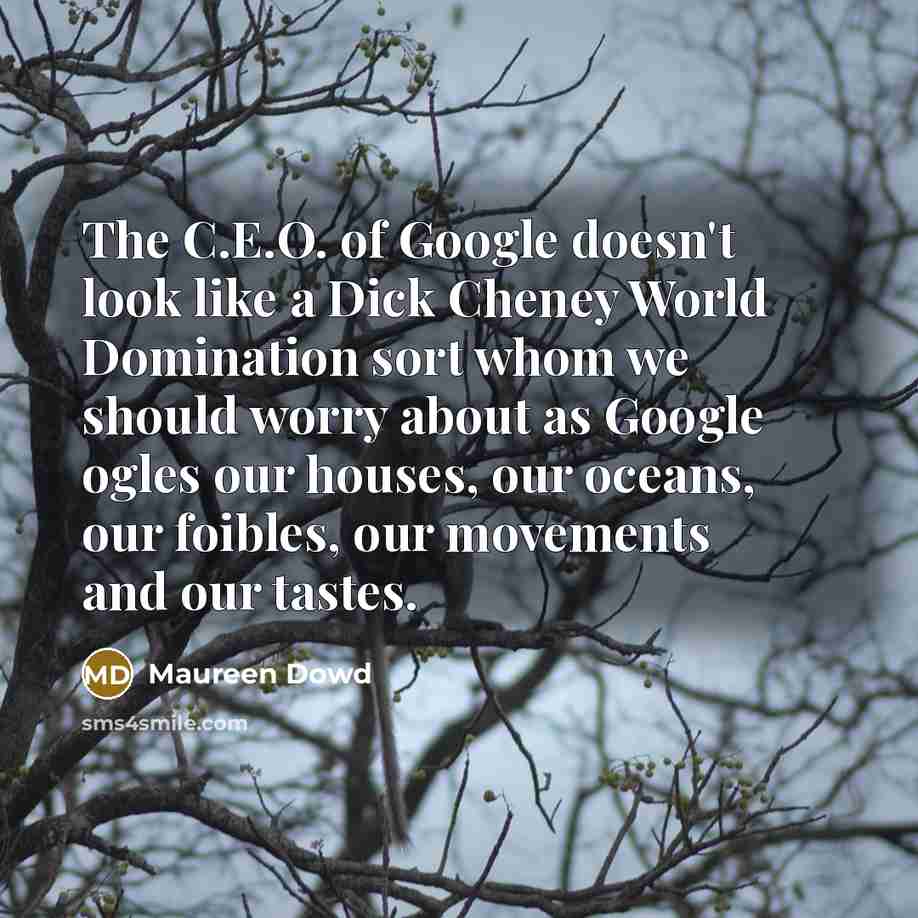 “The C.E.O. of Google doesn't look like a Dick Cheney…” quote by Maureen Dowd
