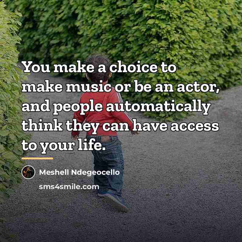 “You make a choice to make music or be an…” quote by Meshell Ndegeocello