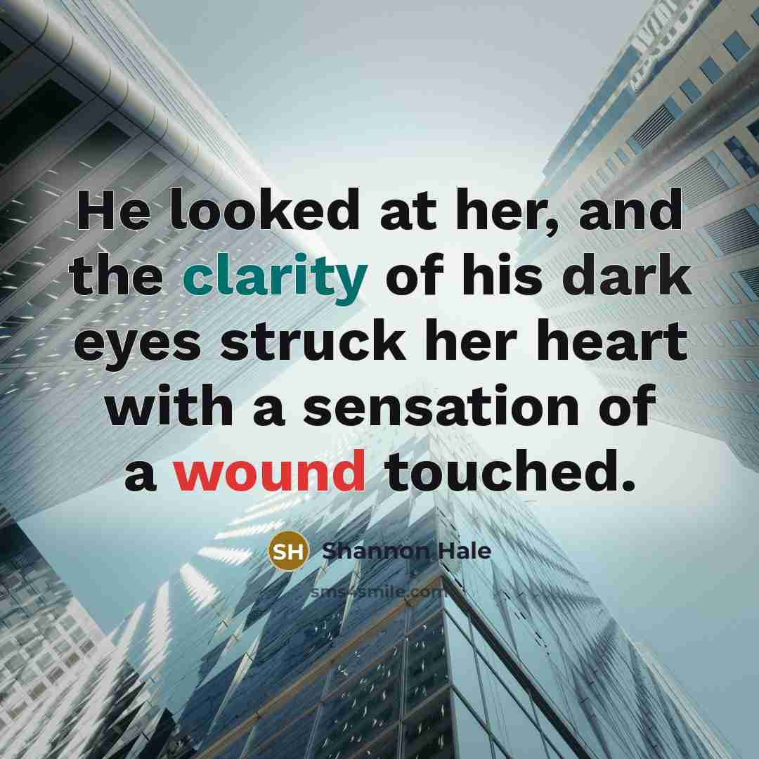 “He looked at her, and the clarity of his dark…” quote by Shannon Hale