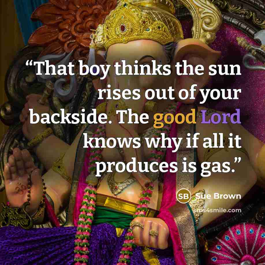“That boy thinks the sun rises out of your backside. The good Lord knows why if all it produces is gas.” quote by Sue Brown