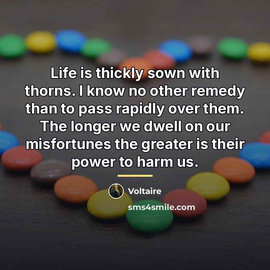 “Life is thickly sown with thorns. I know no other…” quote by Voltaire