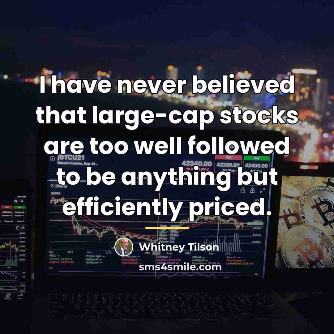 “I have never believed that large-cap stocks are too well…” quote by Whitney Tilson