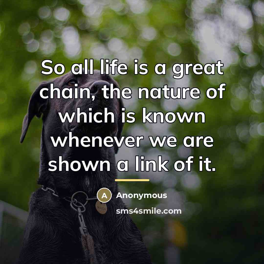 “So all life is a great chain, the nature of…” quote by Anonymous