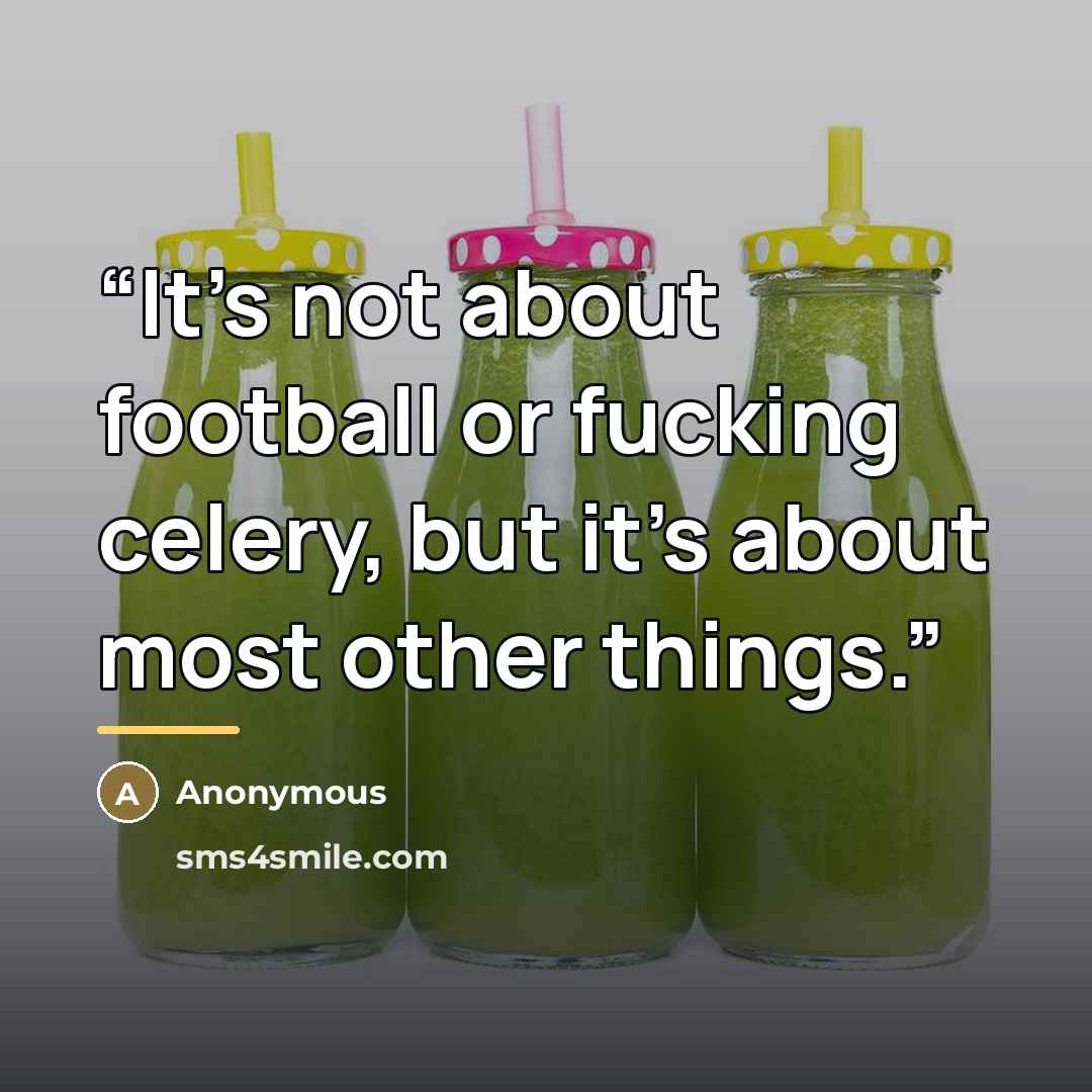 “It’s not about football or fucking celery, but it’s about most other things.” quote by Anonymous