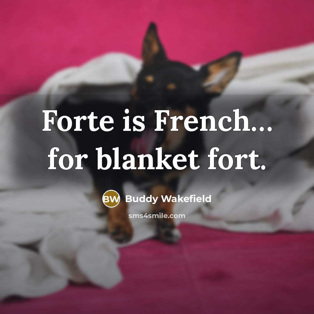 “Forte is French… for blanket fort.…” quote by Buddy Wakefield
