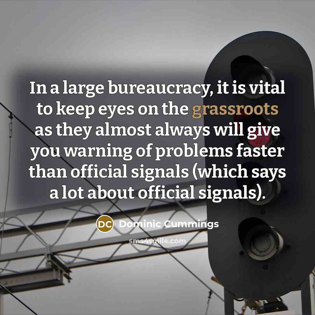 “In a large bureaucracy, it is vital to keep eyes…” quote by Dominic Cummings