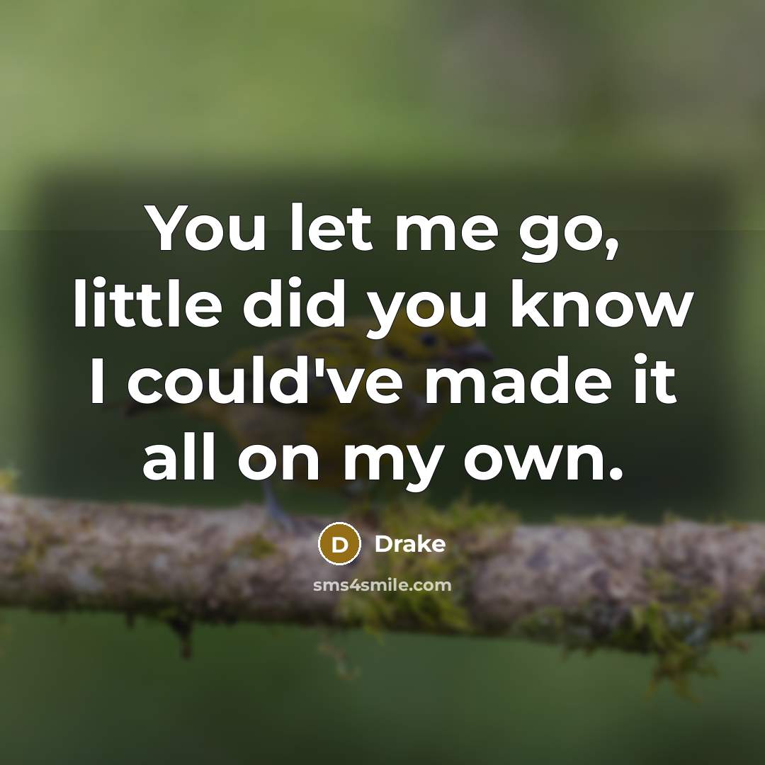 “You let me go, little did you know I could've made it all on my own.” quote by Drake