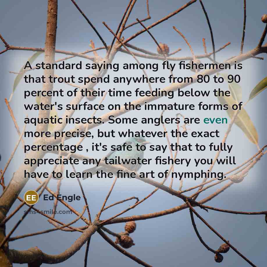“A standard saying among fly fishermen is that trout spend…” quote by Ed Engle
