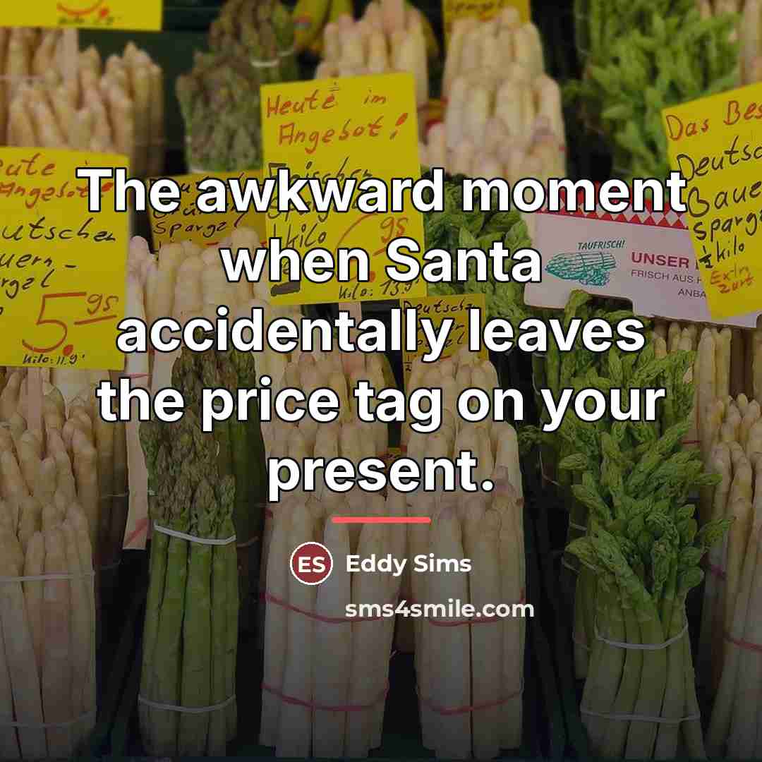 “The awkward moment when Santa accidentally leaves the price tag…” quote by Eddy Sims