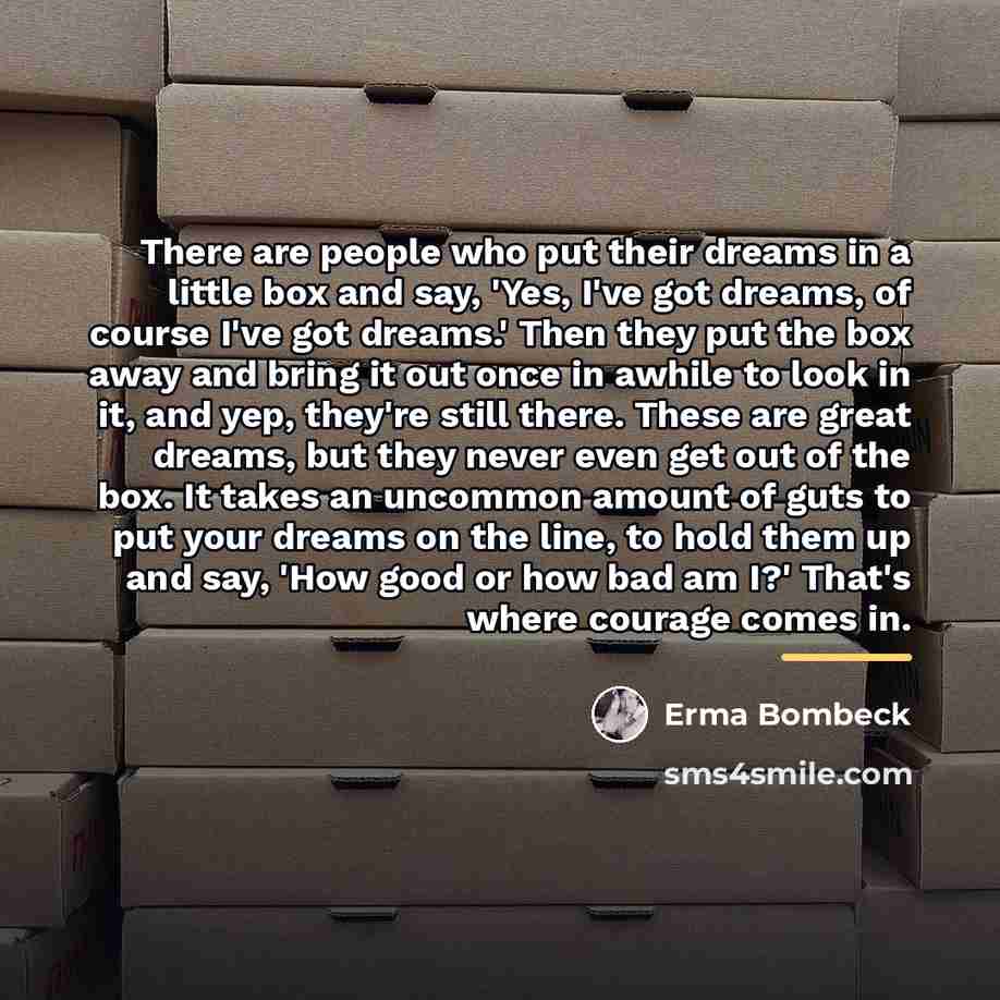 “There are people who put their dreams in a little…” quote by Erma Bombeck