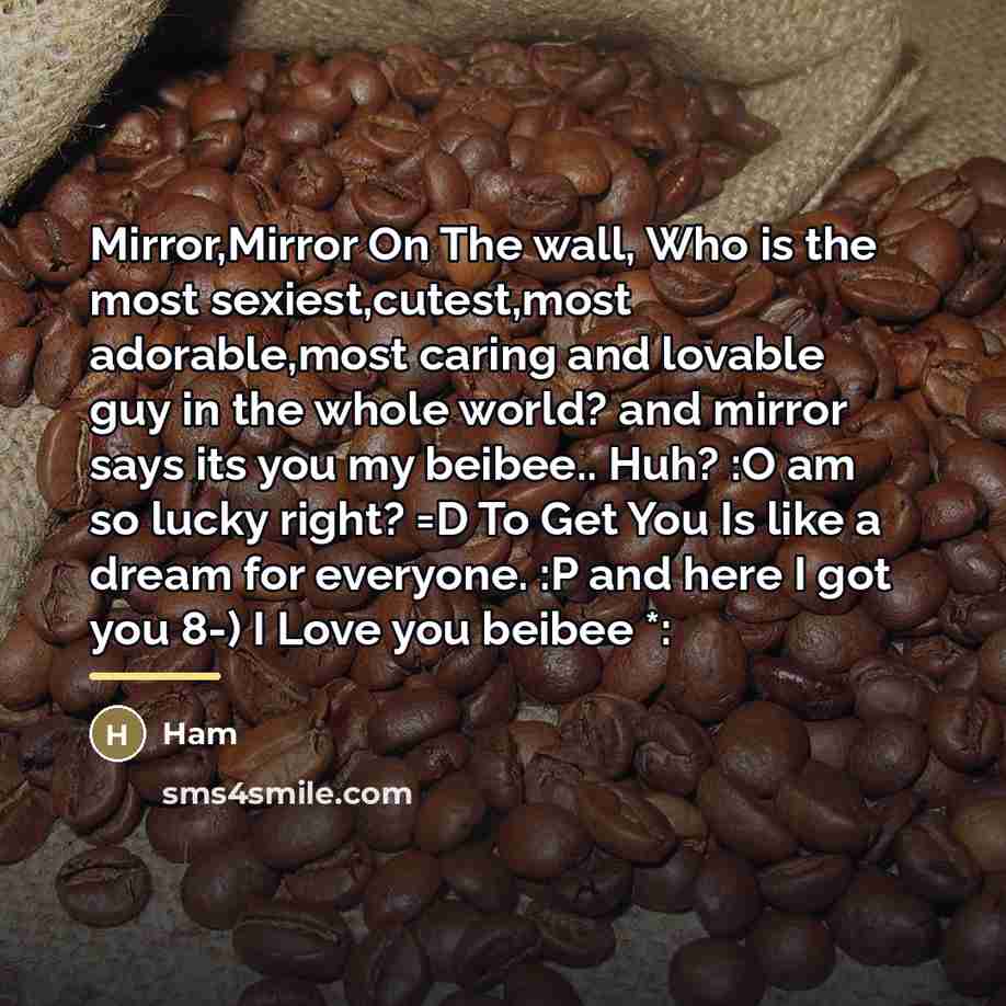 “Mirror,Mirror On The wall, Who is the most sexiest,cutest,most adorable,most…” quote by Ham