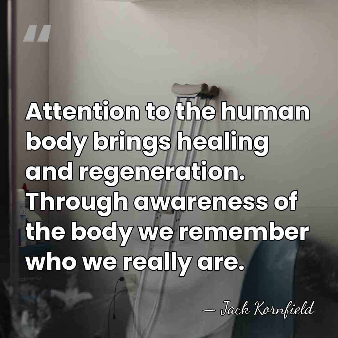 Attention to the human body brings healing and regeneration. Through awareness of&hellip; - Jack Kornfield