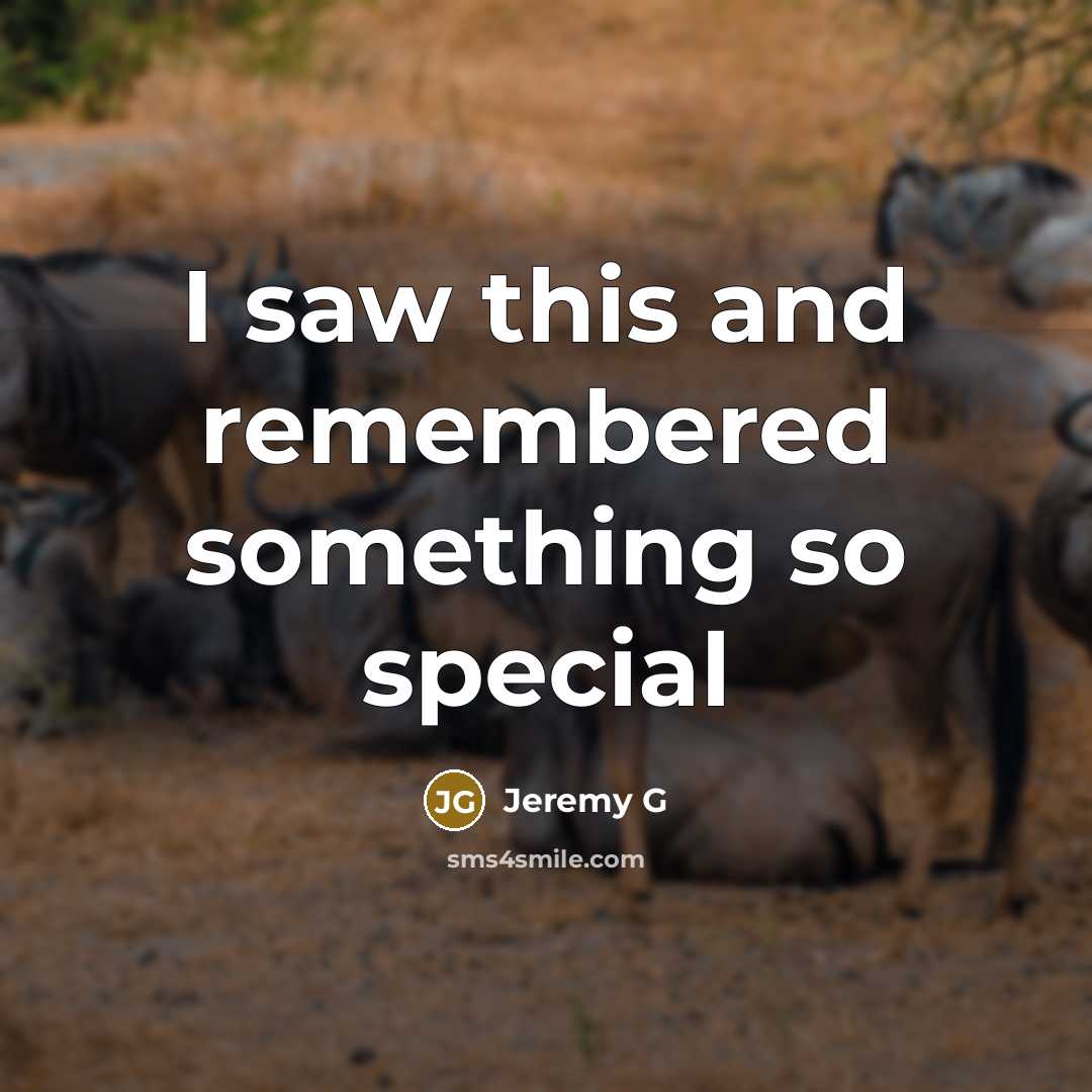 “I saw this and remembered something so special…” quote by Jeremy G