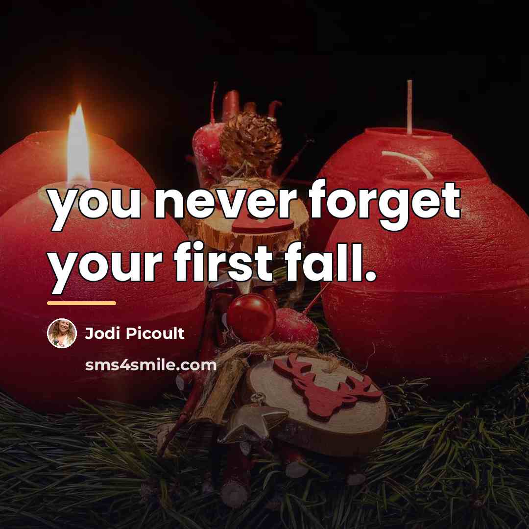 “you never forget your first fall.…” quote by Jodi Picoult