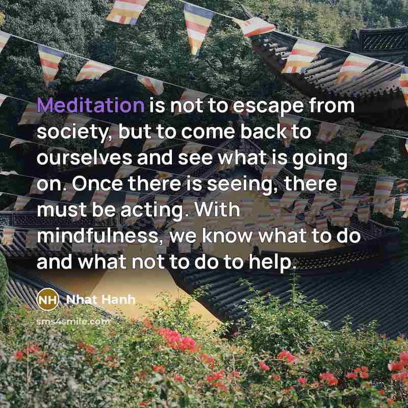 “Meditation is not to escape from society, but to come…” quote by Nhat Hanh