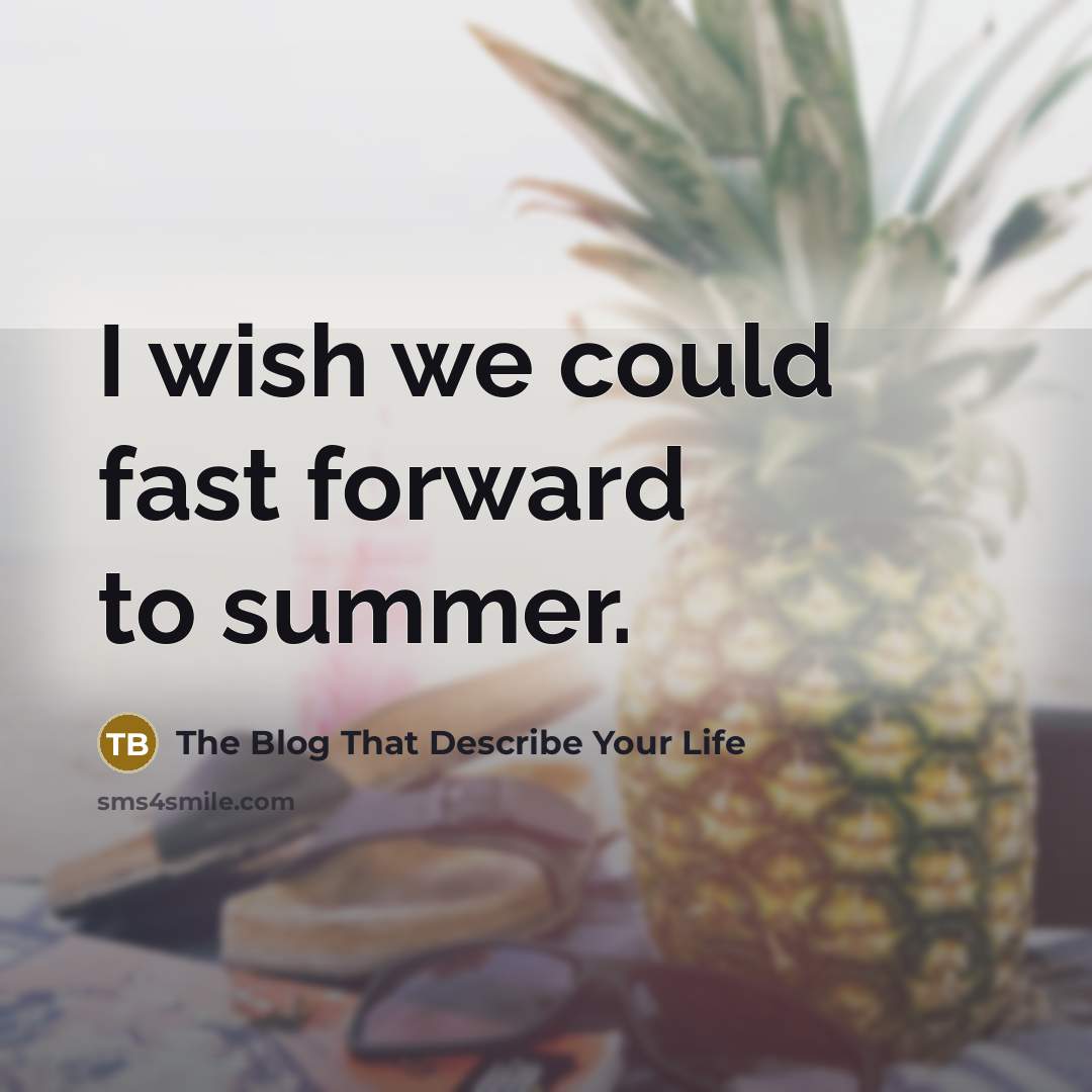 “I wish we could fast forward to summer.…” quote by The Blog That Describe Your Life