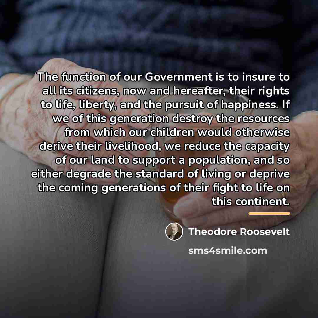 “The function of our Government is to insure to all…” quote by Theodore Roosevelt