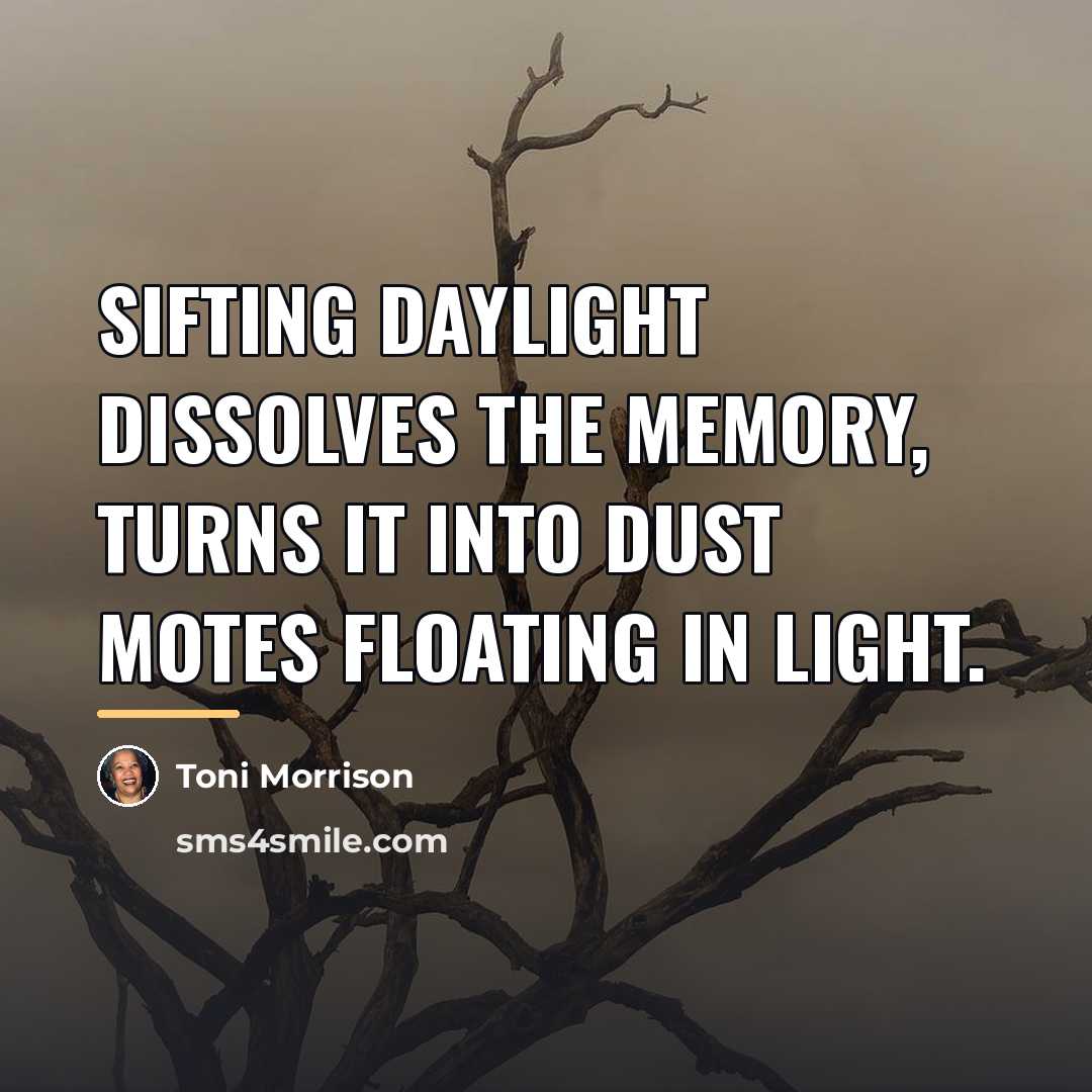 “Sifting daylight dissolves the memory, turns it into dust motes…” quote by Toni Morrison