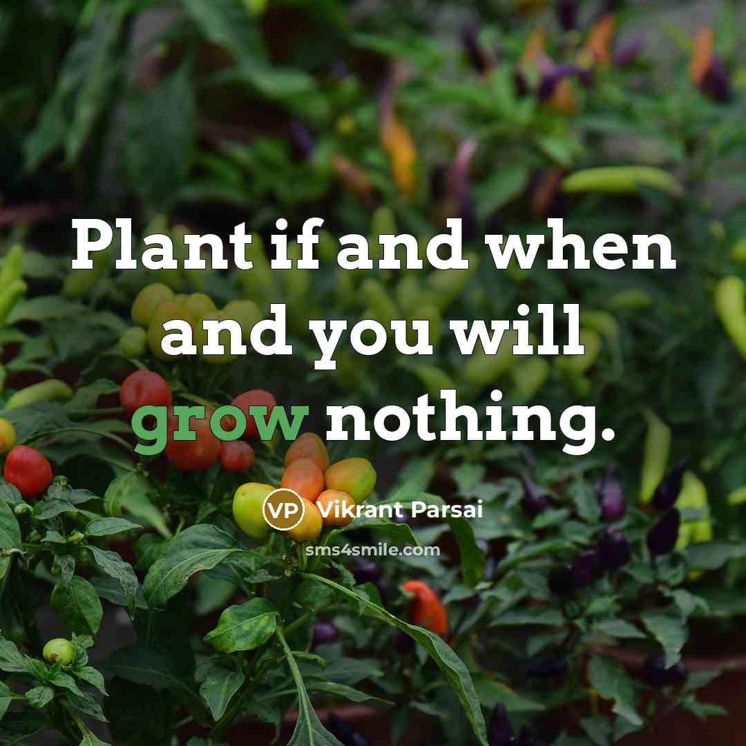 “Plant if and when and you will grow nothing.…” quote by Vikrant Parsai