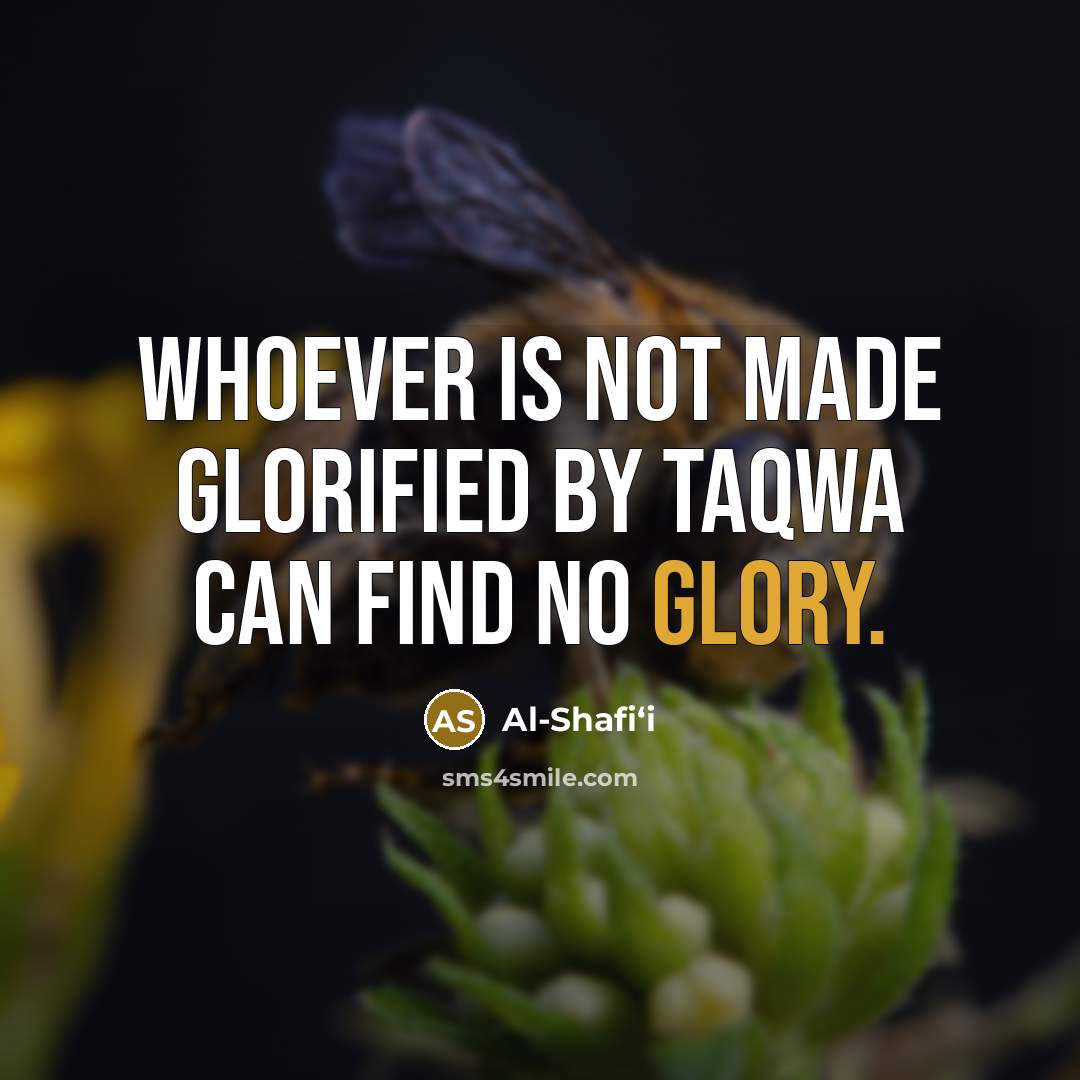 “Whoever is not made glorified by taqwa can find no…” quote by Al-Shafi‘i