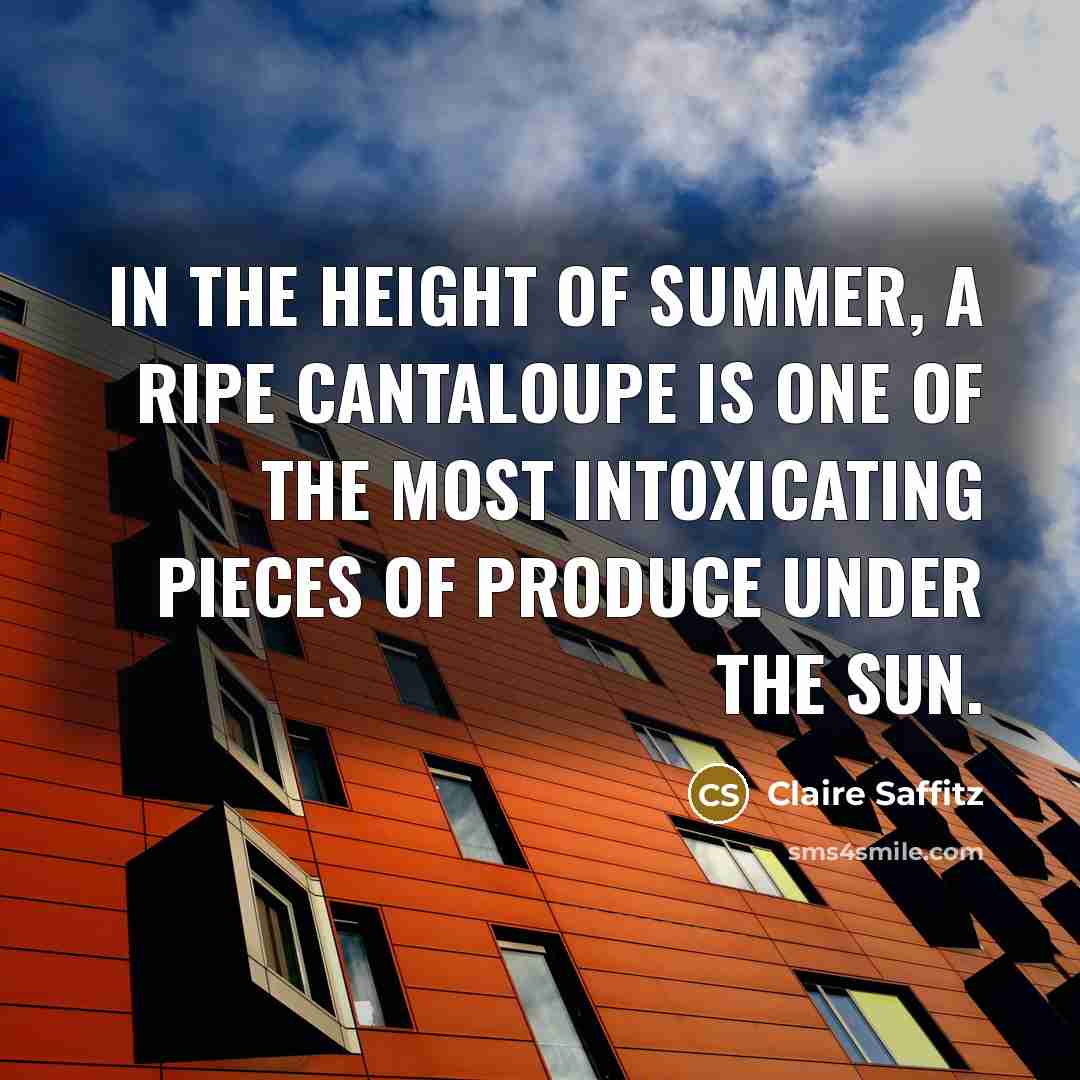 “In the height of summer, a ripe cantaloupe is one…” quote by Claire Saffitz
