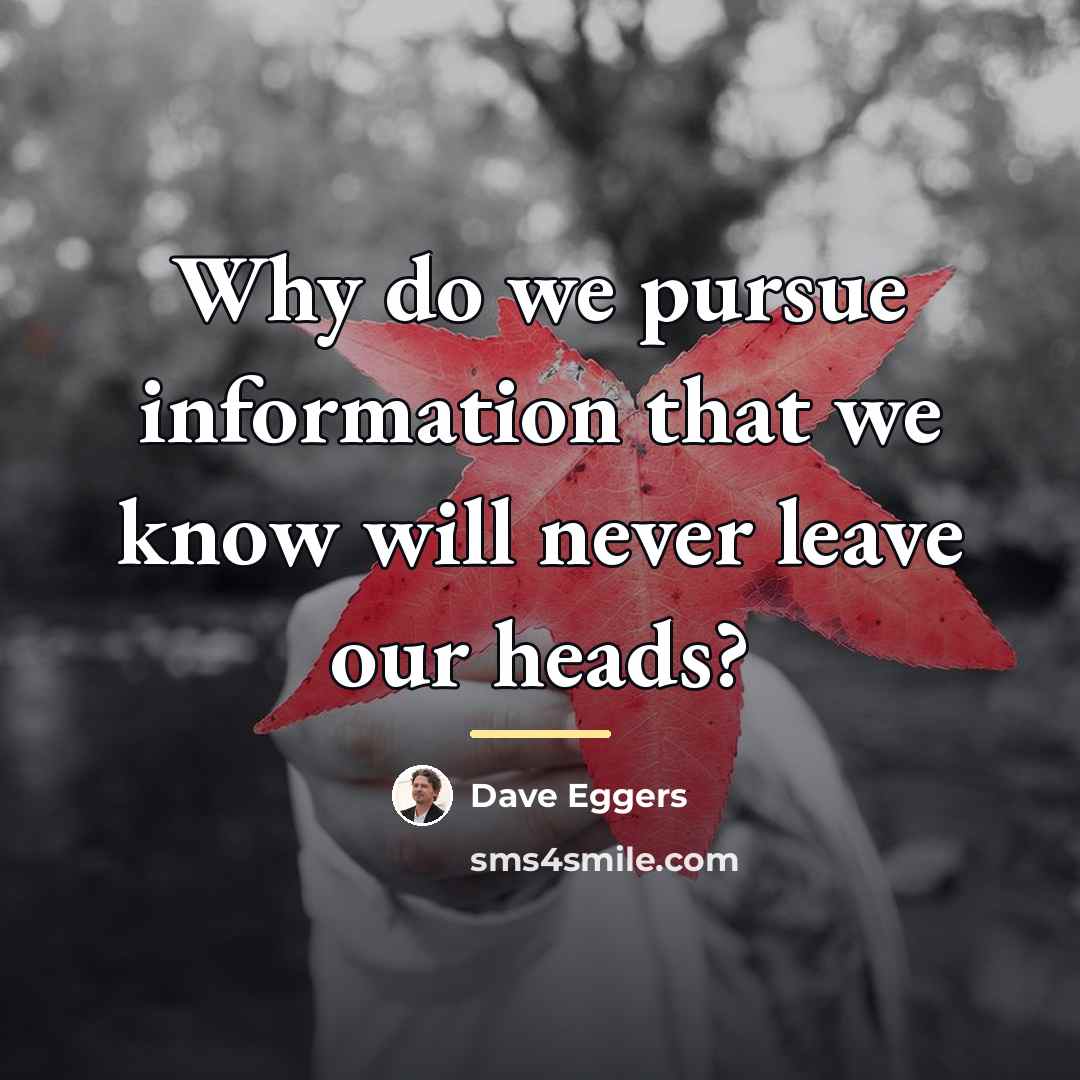 “Why do we pursue information that we know will never…” quote by Dave Eggers