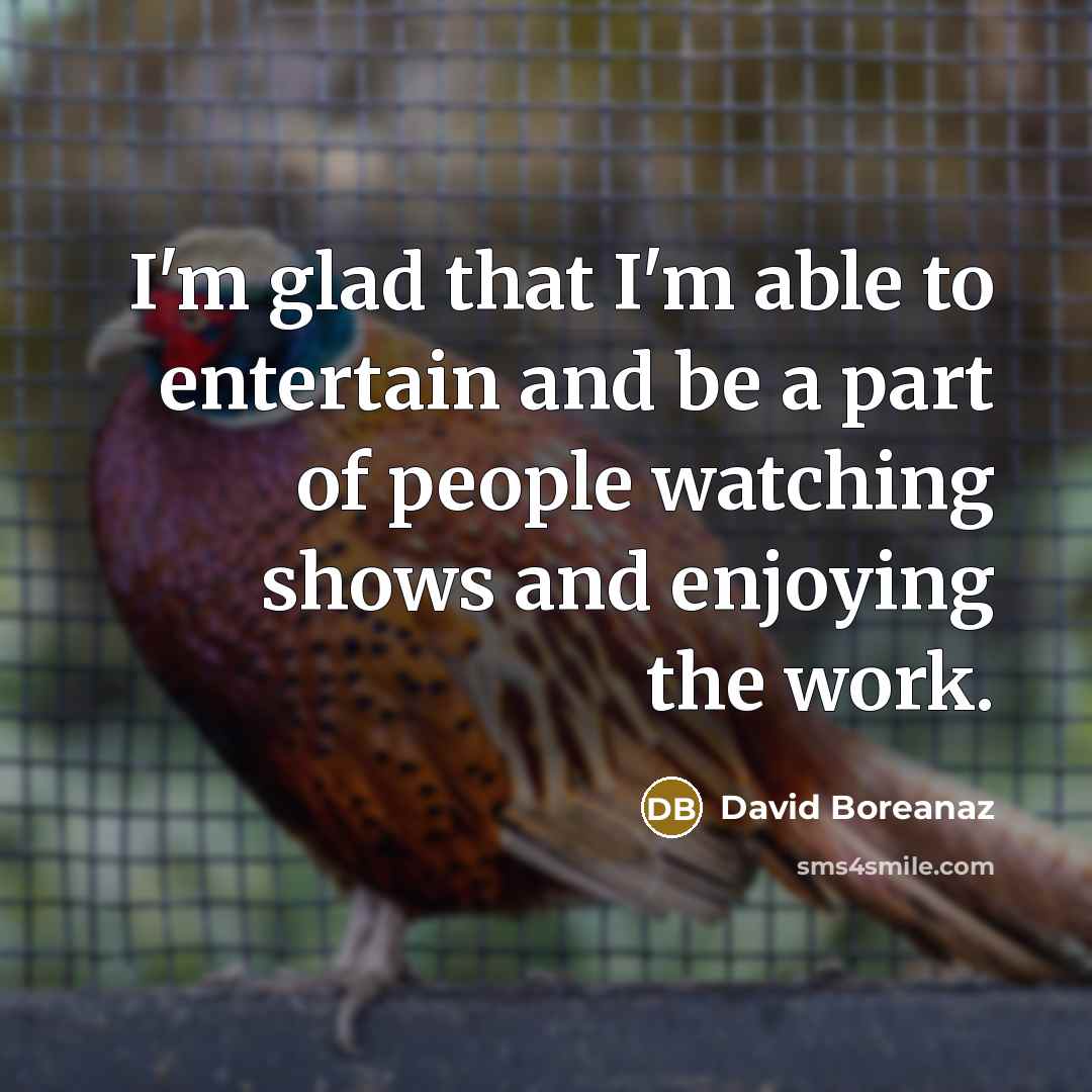 “I'm glad that I'm able to entertain and be a…” quote by David Boreanaz