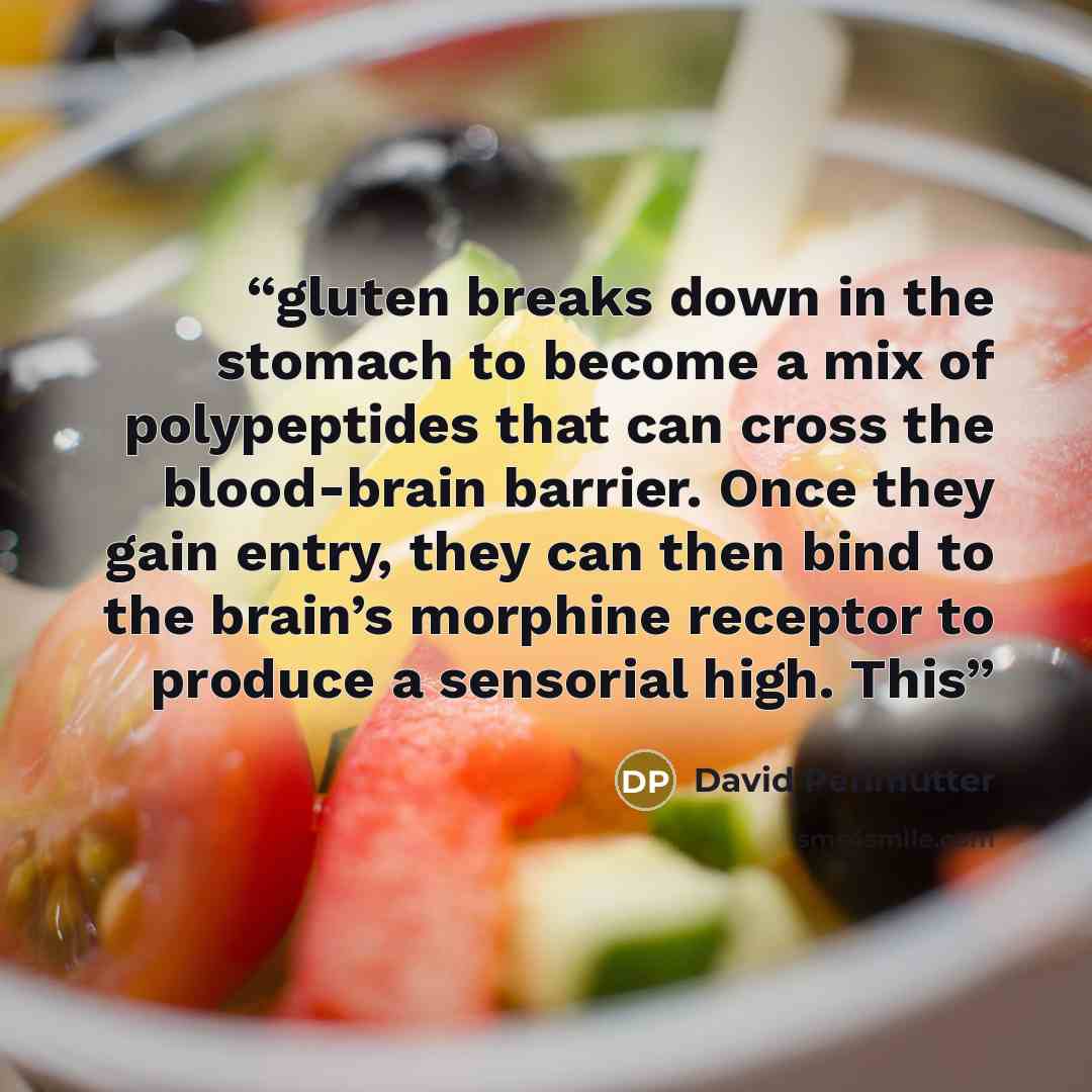 “gluten breaks down in the stomach to become a mix of polypeptides that can cross the blood-brain barrier. Once they gain entry, they can then bind to the brain’s morphine receptor to produce a sensorial high. This” quote by David Perlmutter