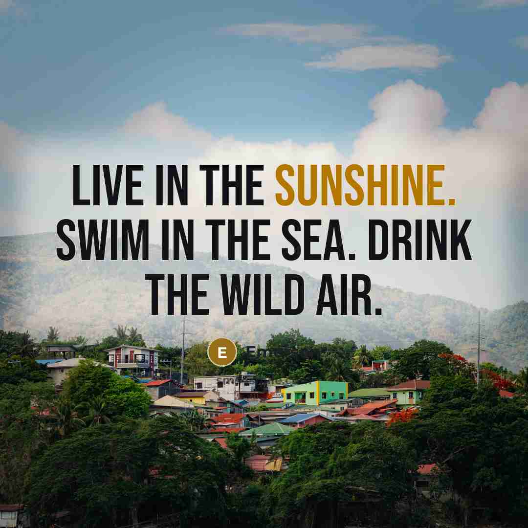 “Live in the sunshine. Swim in the sea. Drink the…” quote by Emerson