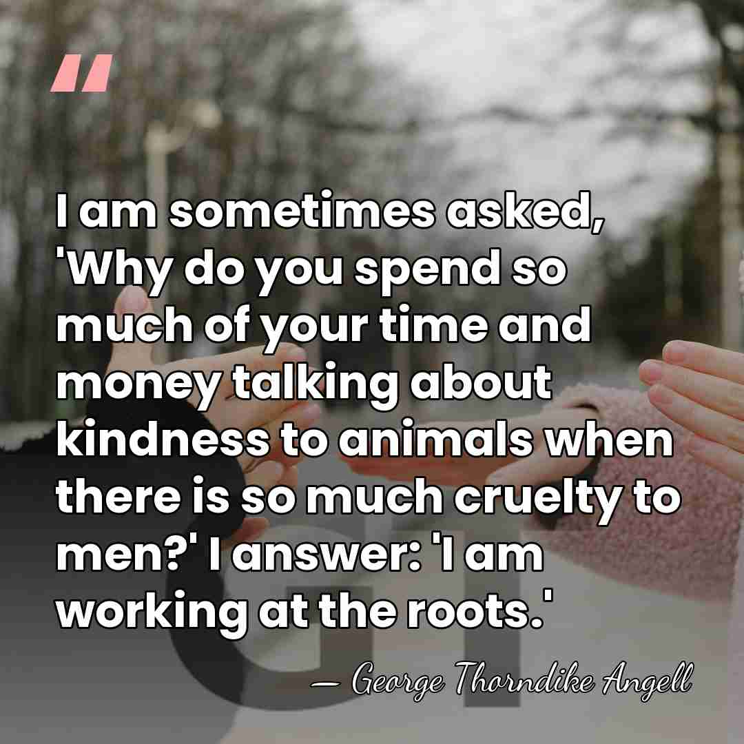 I am sometimes asked, 'Why do you spend so much of your&hellip; - George Thorndike Angell