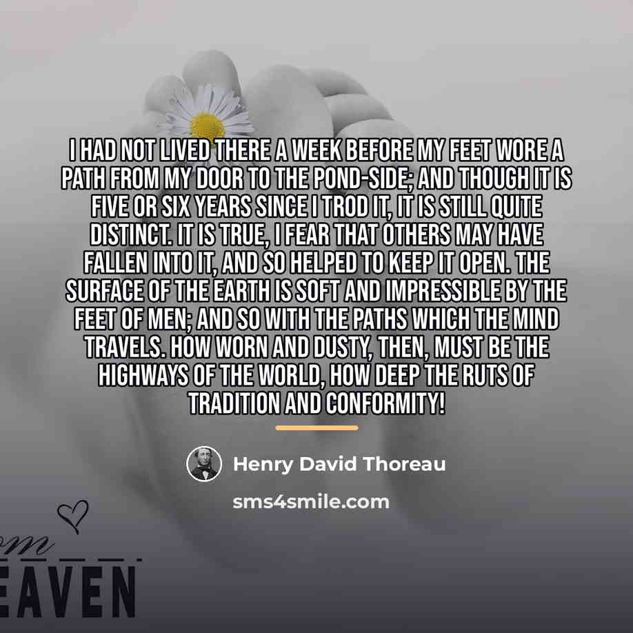 “I had not lived there a week before my feet…” quote by Henry David Thoreau