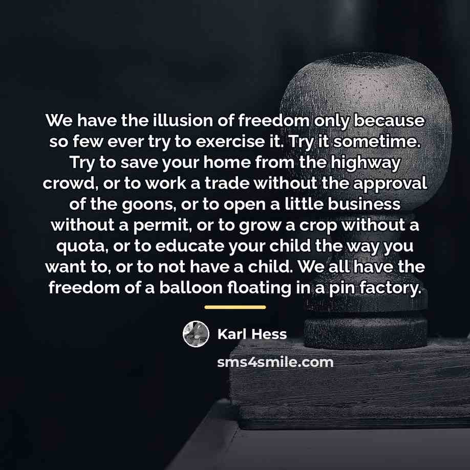 “We have the illusion of freedom only because so few…” quote by Karl Hess
