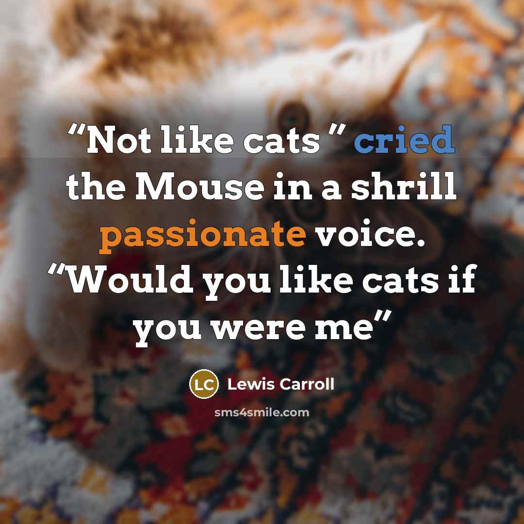 “Not like cats ” cried the Mouse in a shrill passionate voice. “Would you like cats if you were me” quote by Lewis Carroll