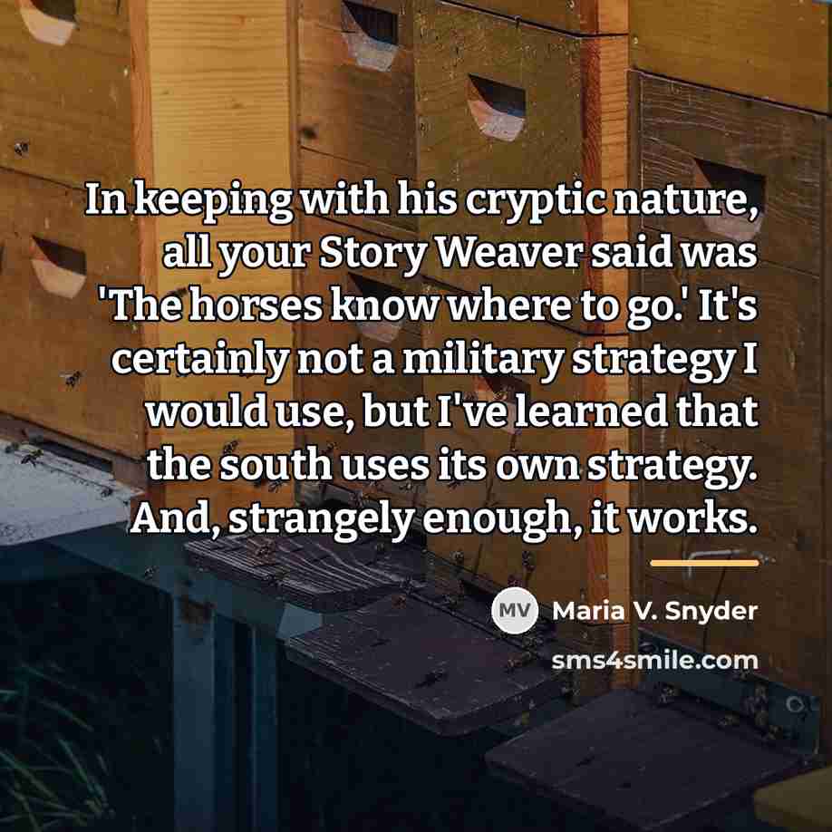 “In keeping with his cryptic nature, all your Story Weaver…” quote by Maria V. Snyder