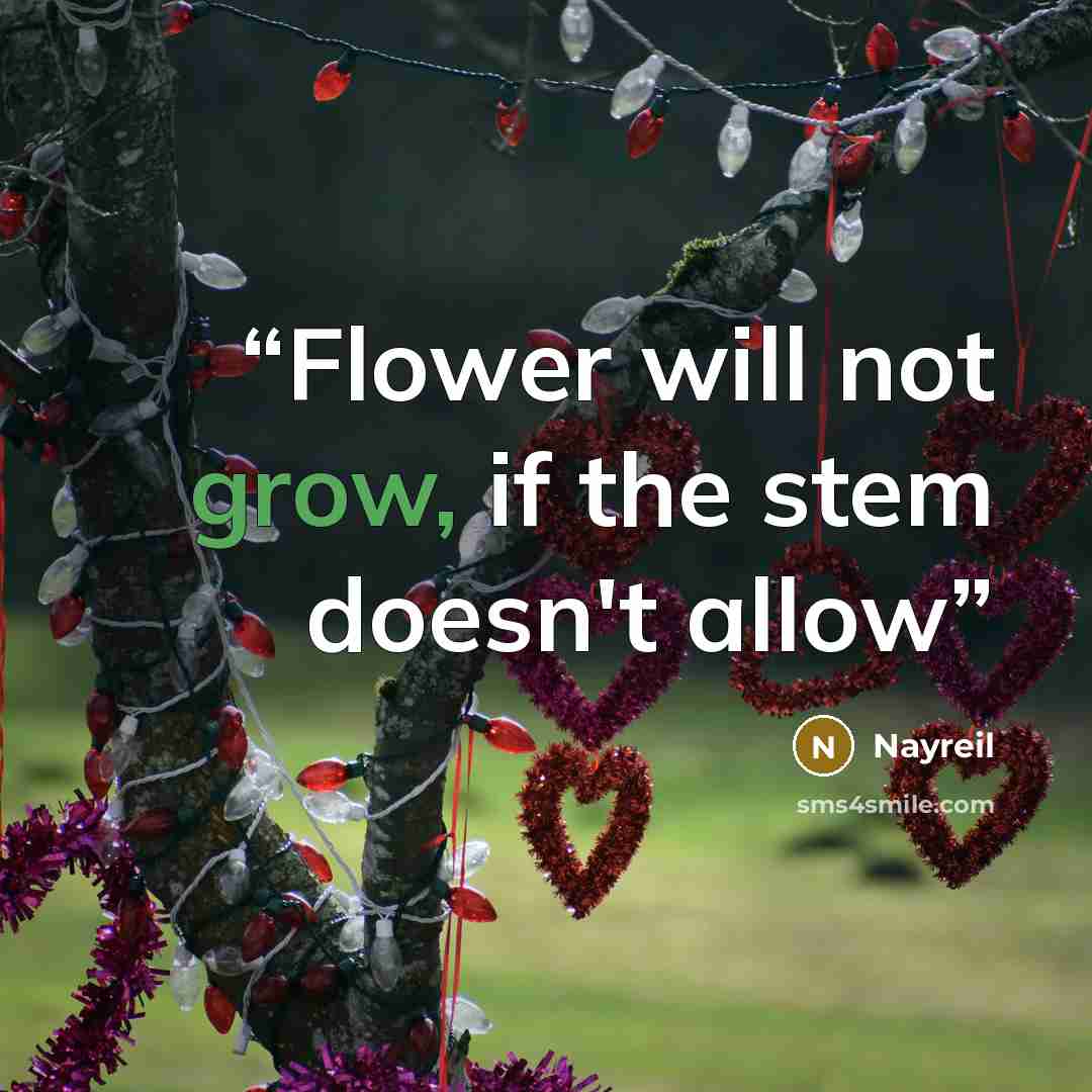“Flower will not grow, if the stem doesn't allow” quote by Nayreil