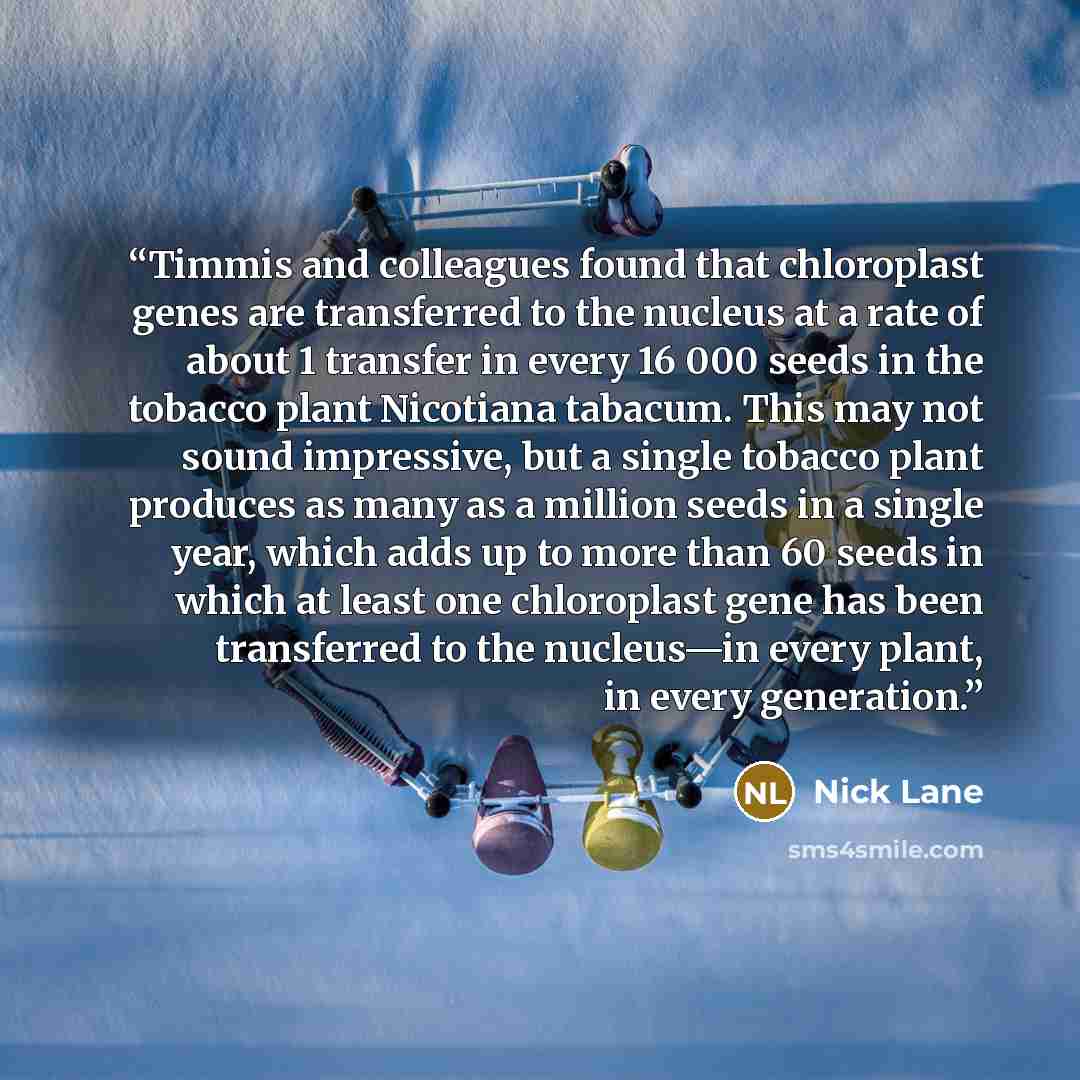 “Timmis and colleagues found that chloroplast genes are transferred to the nucleus at a rate of about 1 transfer in every 16 000 seeds in the tobacco plant Nicotiana tabacum. This may not sound impressive, but a single tobacco plant produces as many as a million seeds in a single year, which adds…” quote by Nick Lane