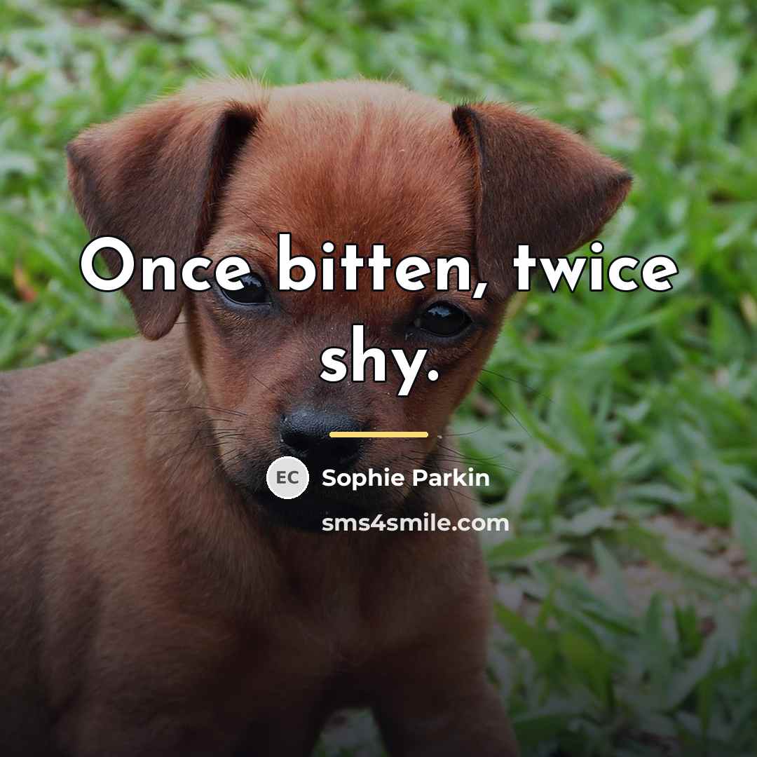 “Once bitten, twice shy.…” quote by Sophie Parkin