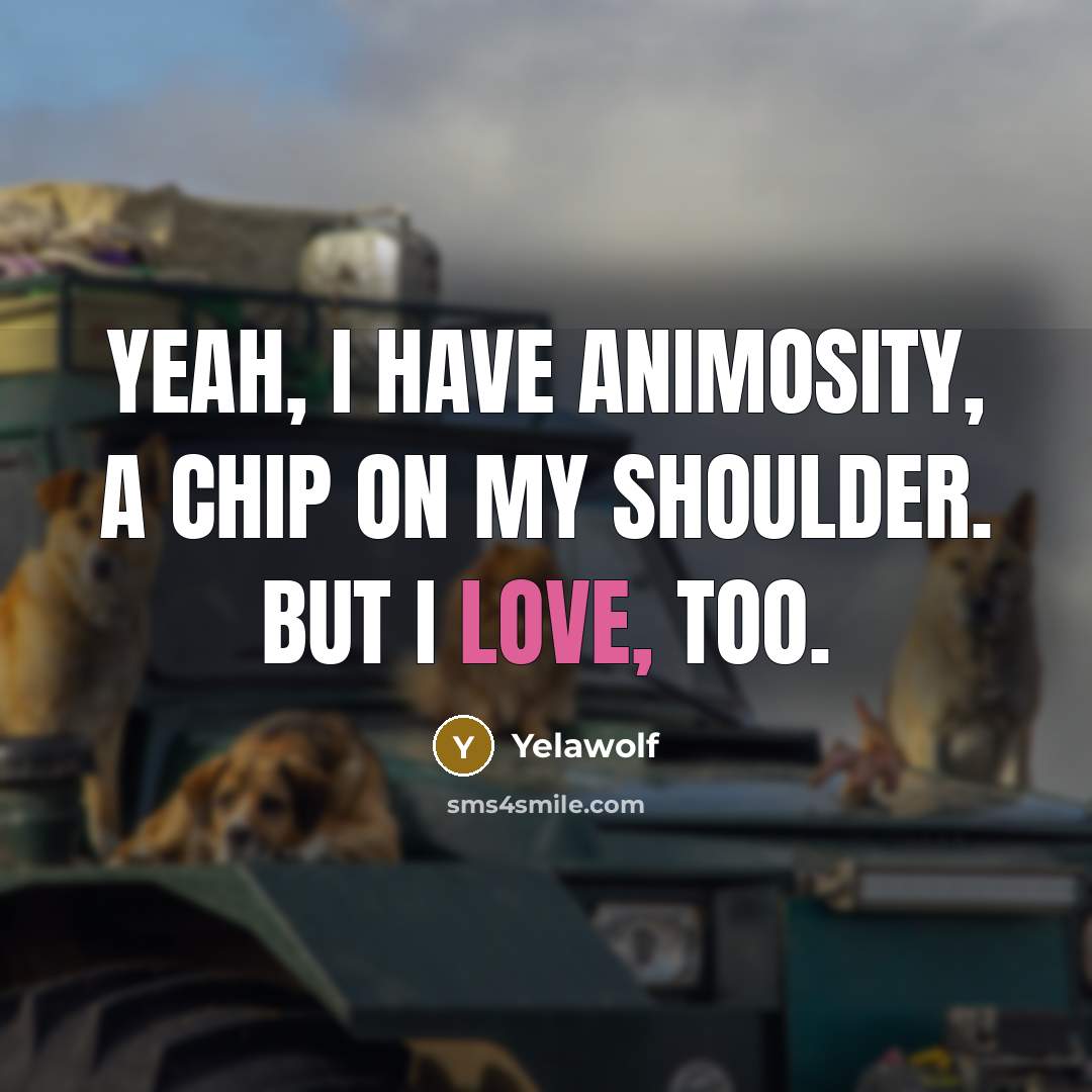 “Yeah, I have animosity, a chip on my shoulder. But…” quote by Yelawolf